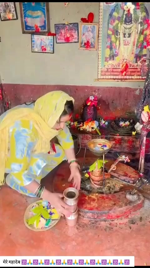 @SharbanSunitaRoyYadav861🤞❣