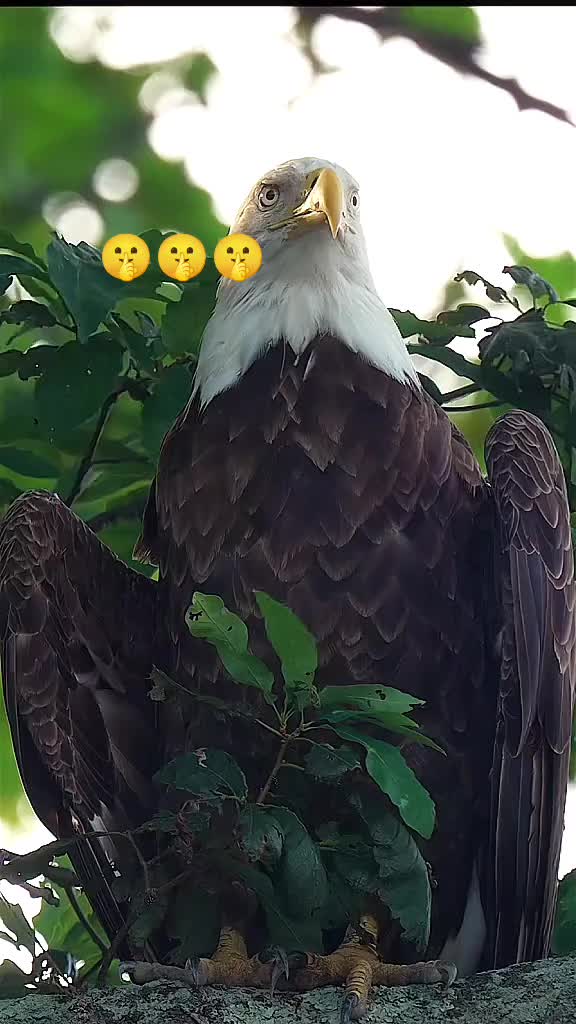 @🅣̣̣̣ 🅤̣̣̣ 🅜̣̣ 🅚̣̣ 🅞̣̣ 🅝̣