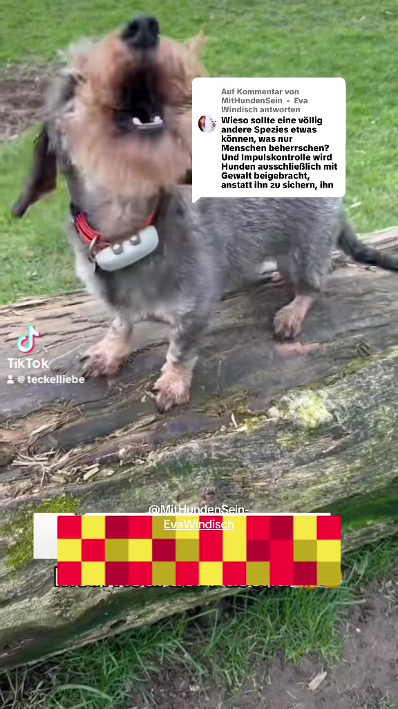 @Ichschützekinderundtiere