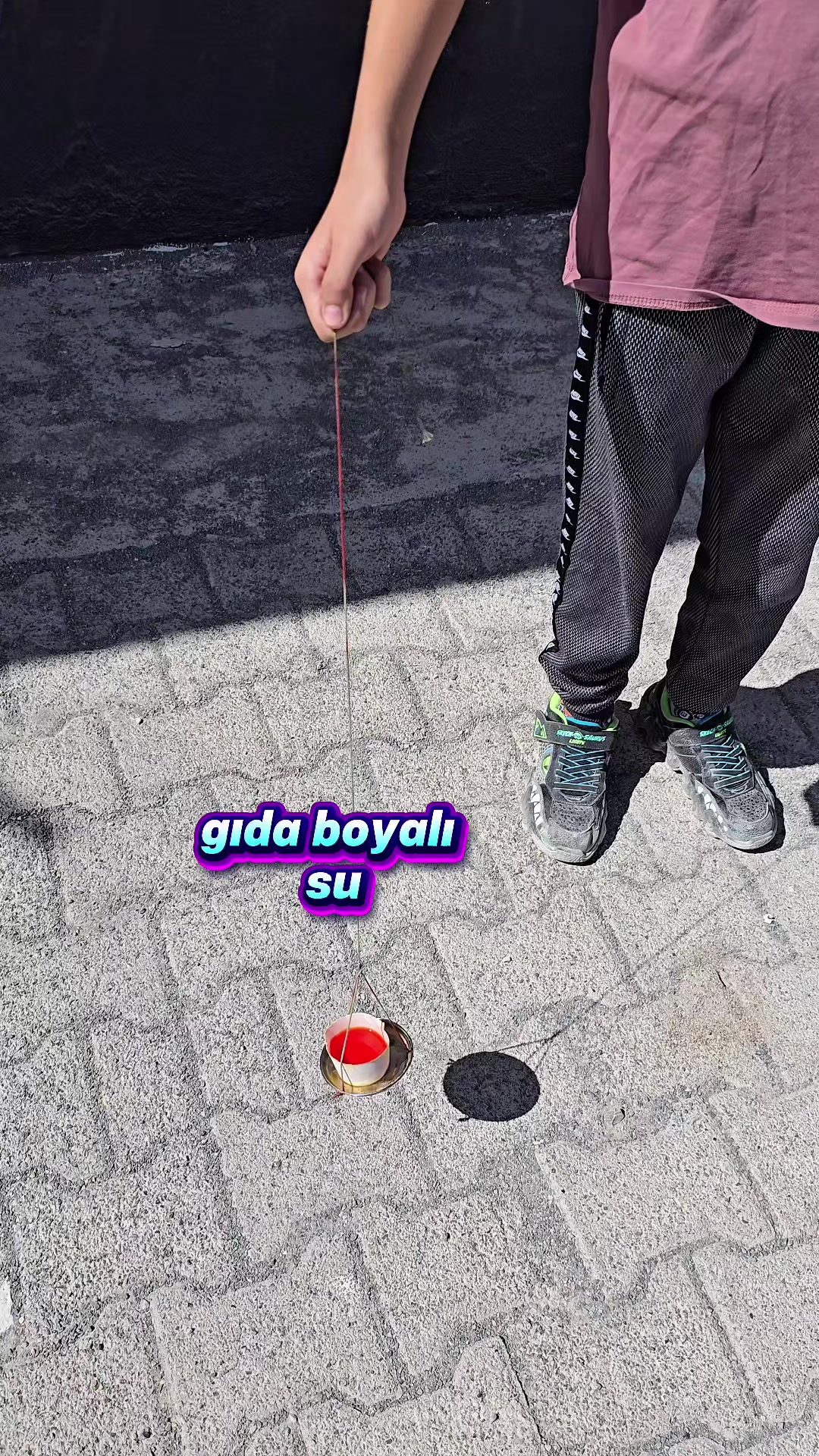 @FENCİSEDAT