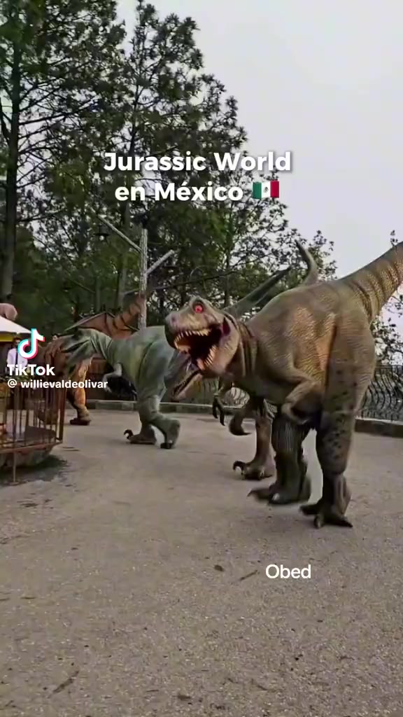 @Rafael Fontes Cervantes