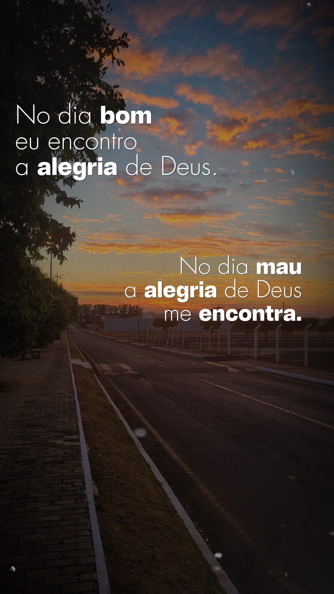 @Elaine Oliveira