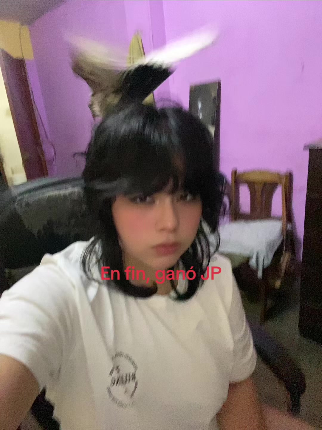@Shelly 🐢🇵🇪