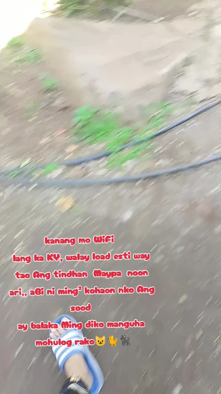 @leonarda