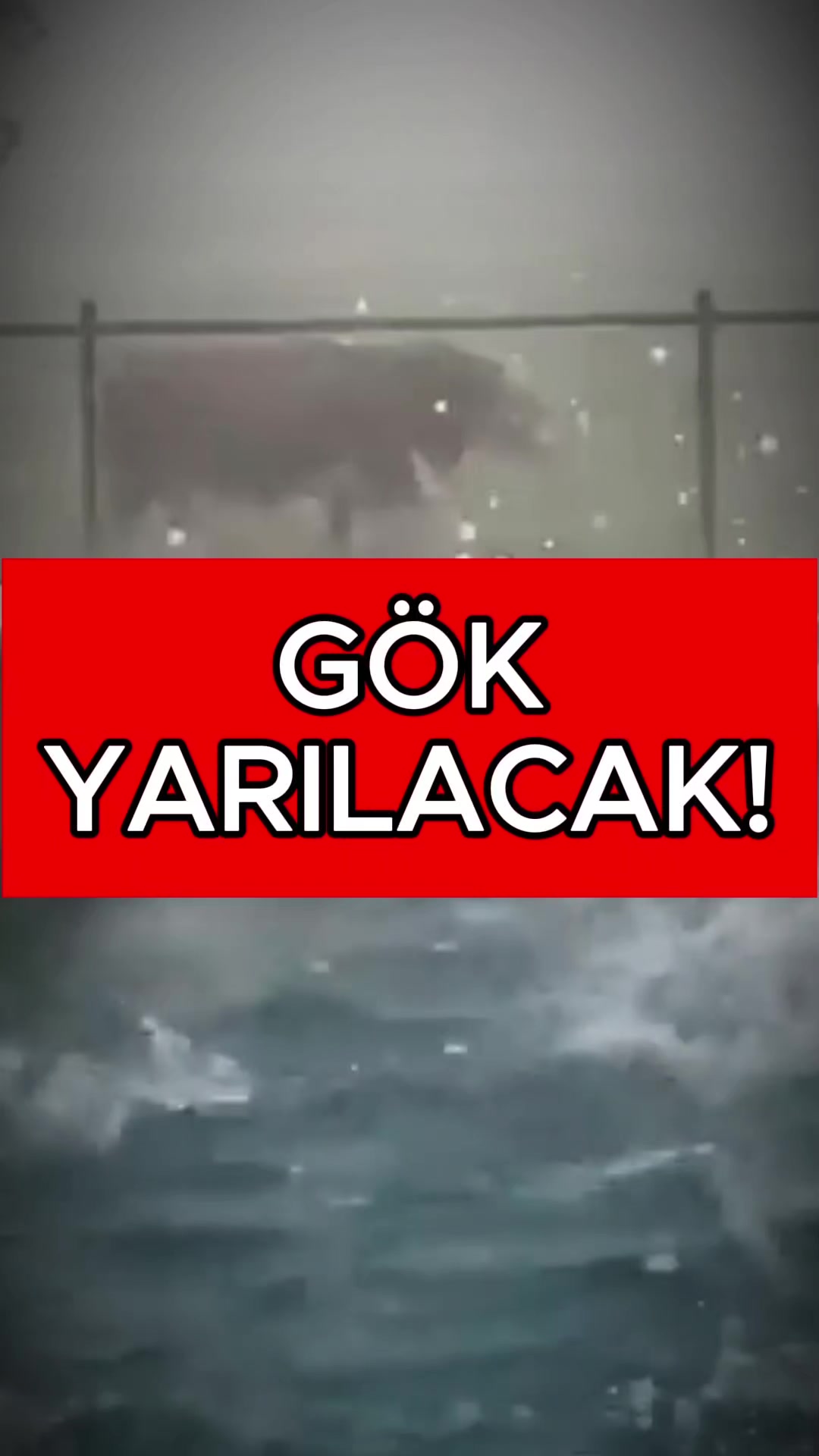 @Havadar