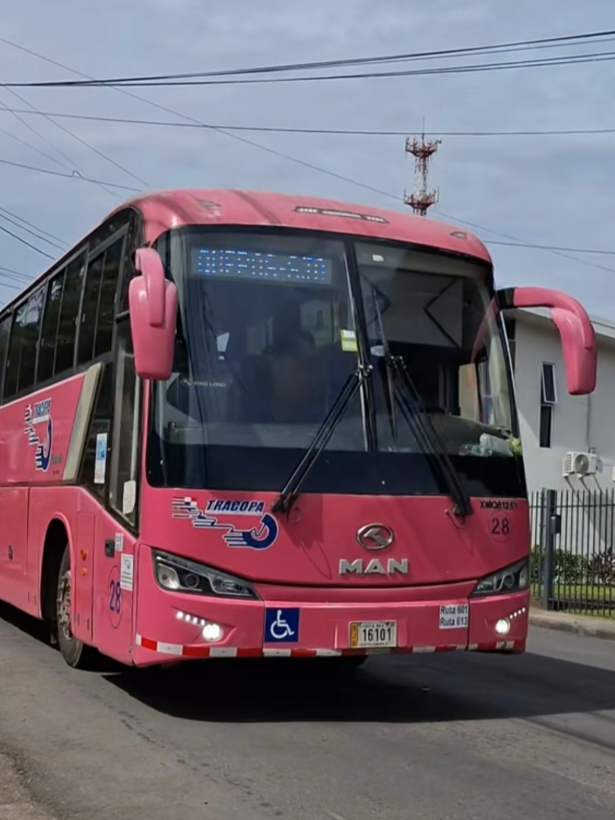 @MR.BUSES.CR🇨🇷