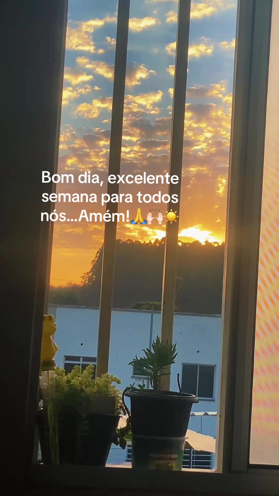 @Café da Jú☕🌺🤗🏡🙏🏻