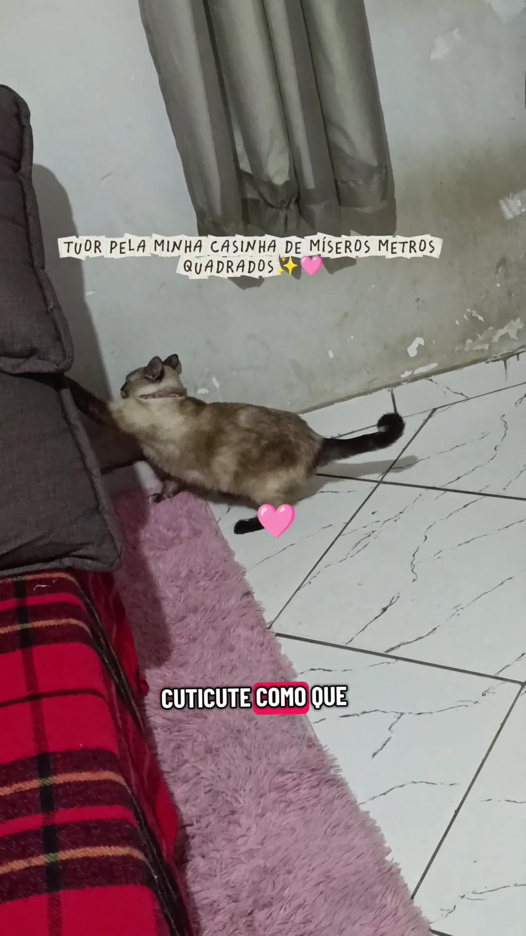 @meduzza