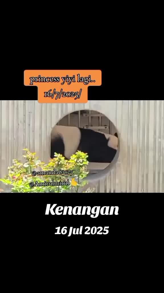 @AmirulMirul3