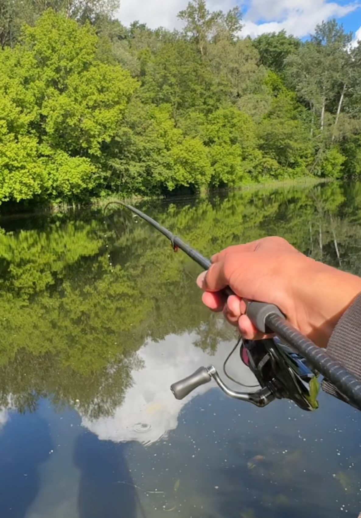 @𝗧𝗚.𝗗𝗬𝗫𝗙𝗜𝗦𝗛🎣