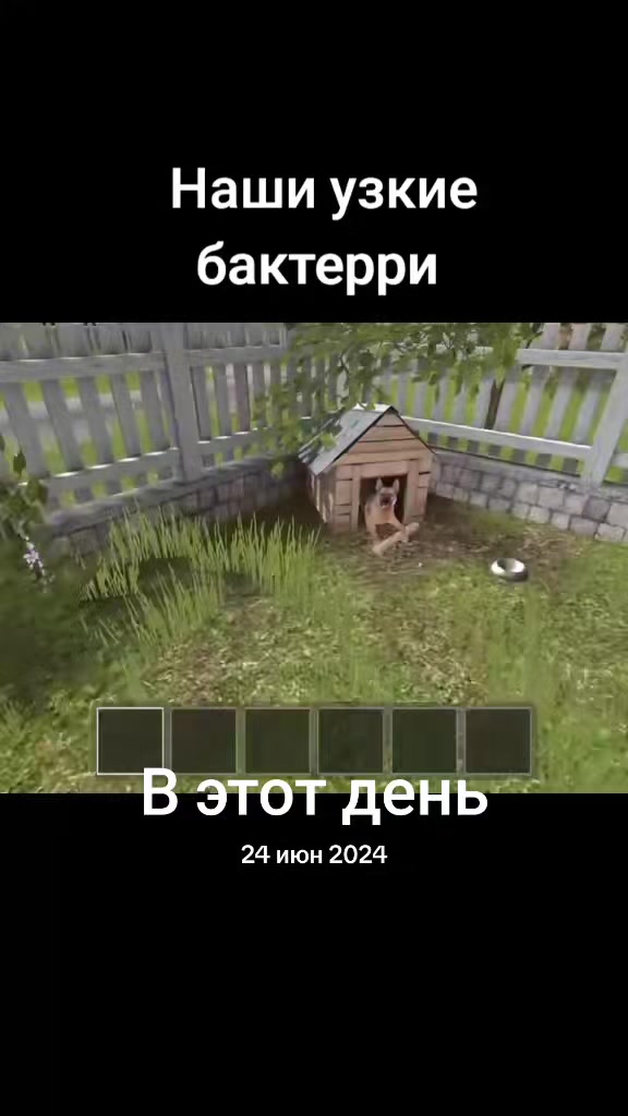 @іпсошечка🤣
