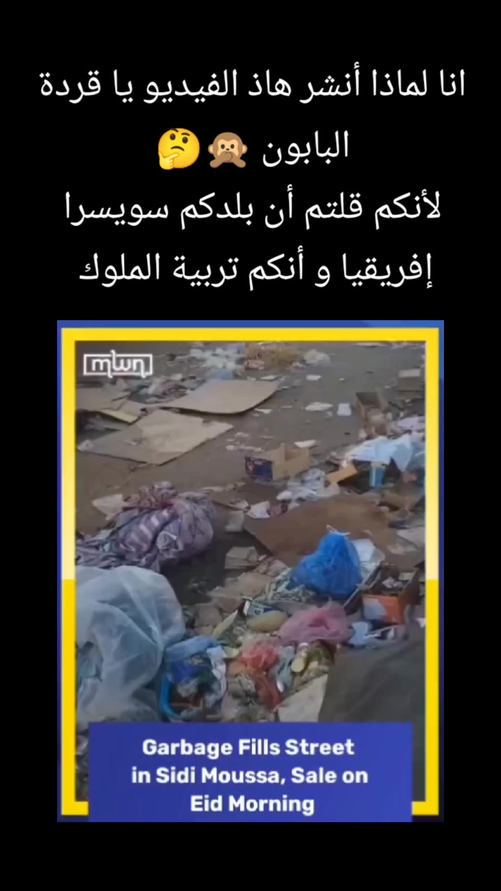 @domi🎲nos 🇩🇿