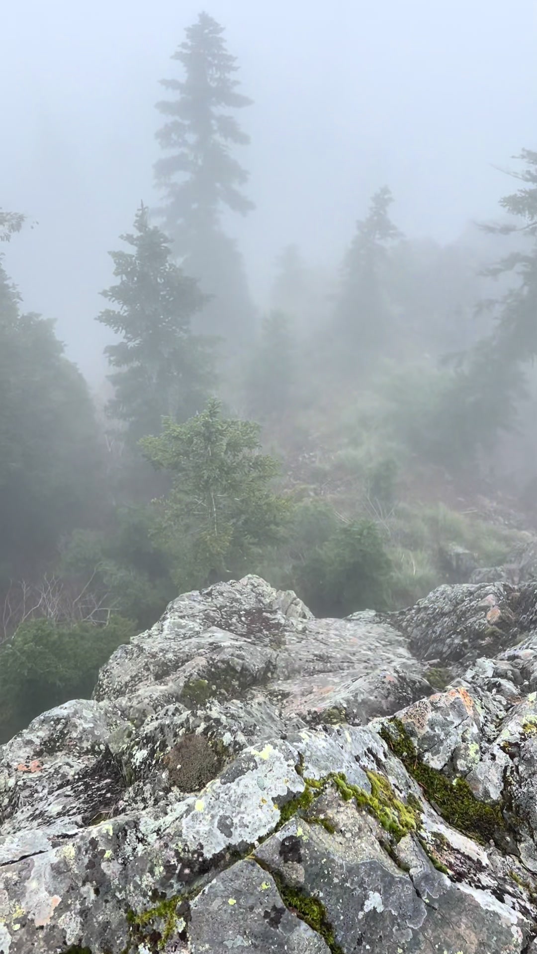 @Pacific Hikes