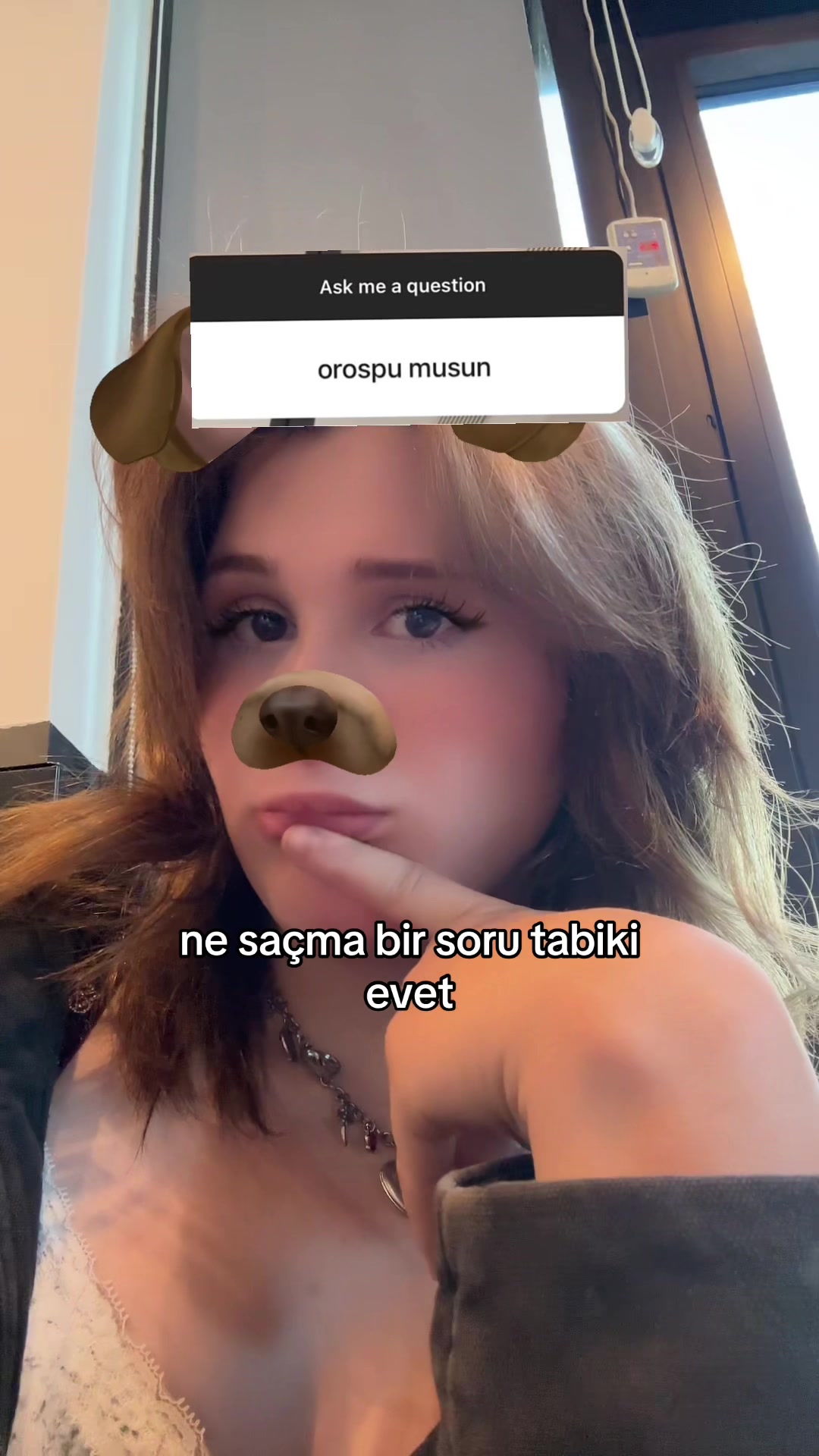@allarqx🚩
