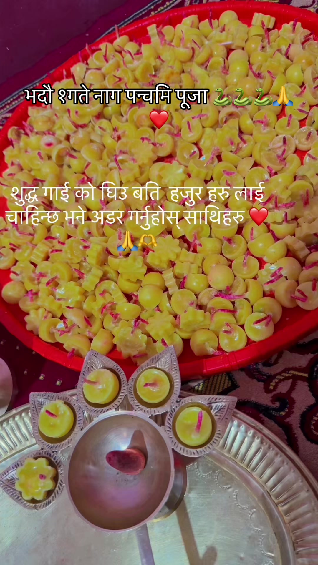 @sitashmathapa71588