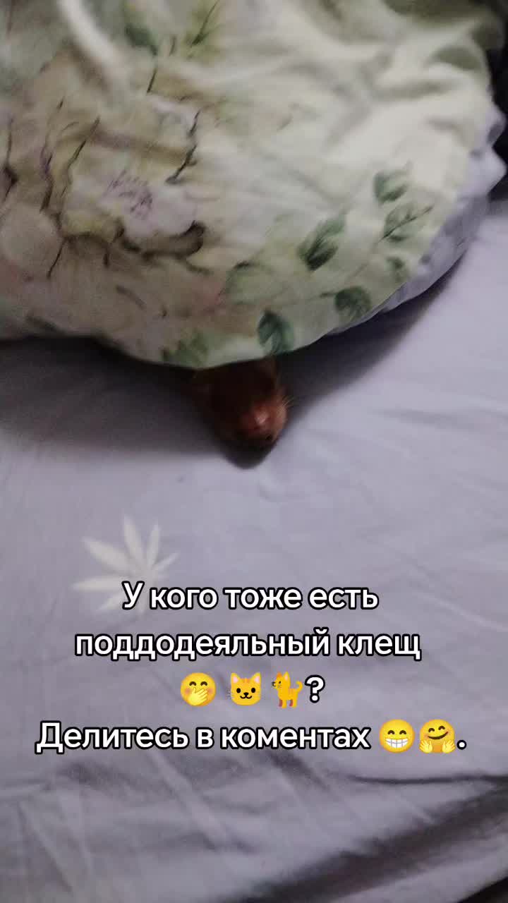 @❤️.𝒜𝓃𝑔𝑒𝓁.❤️