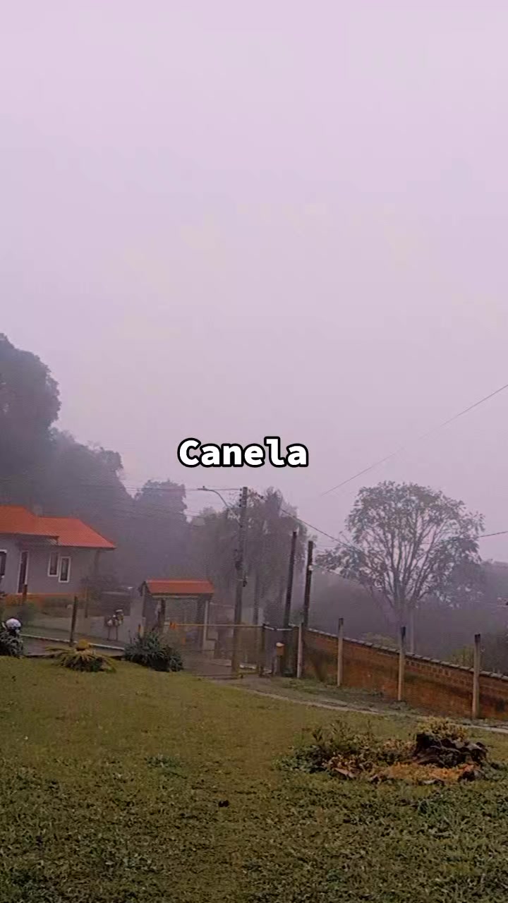 @Denise ga&uacute;cha🌪⚡️🧡