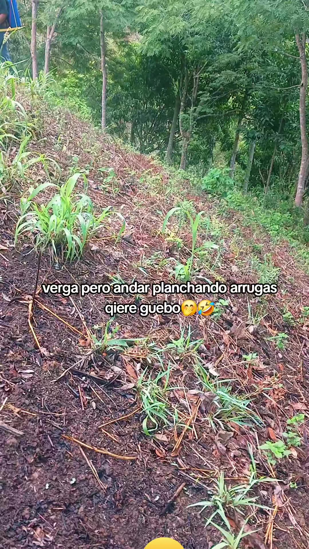 @Talavera 📿☘️🍂