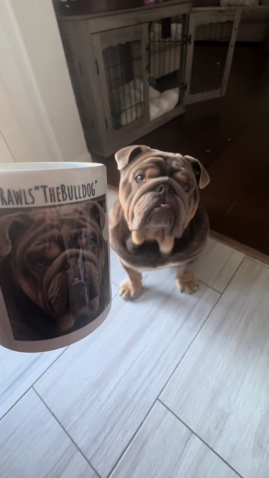 @RawlsTheBulldog