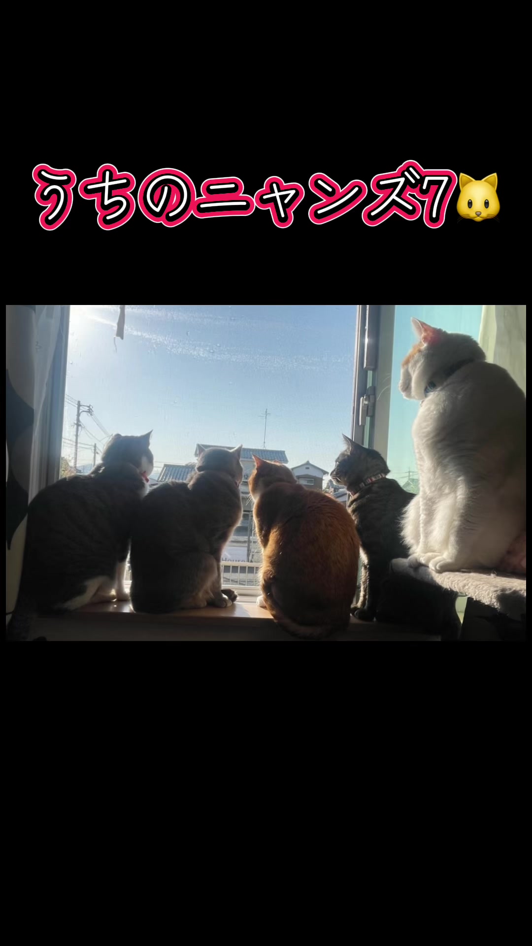 @紫姫