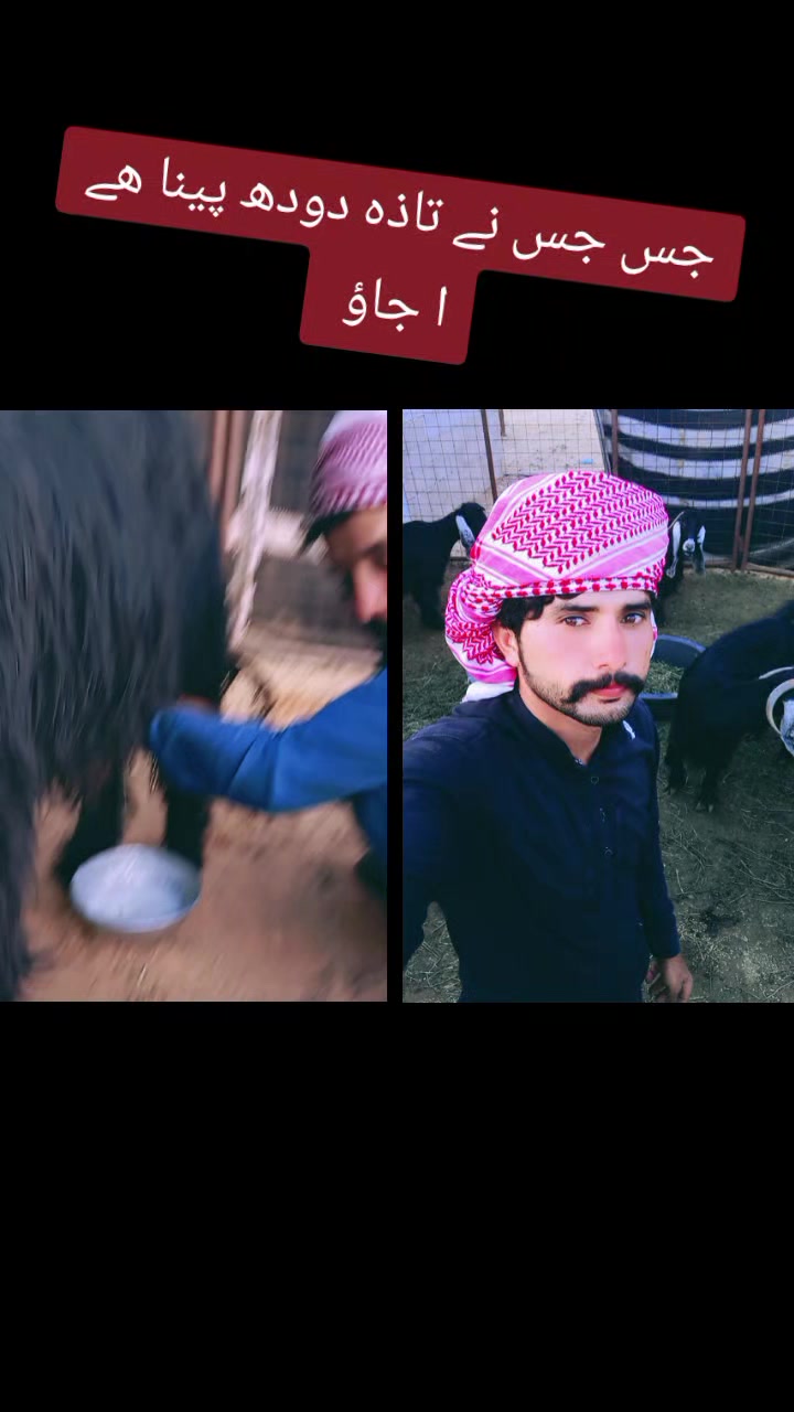 @عرفان ماہی 🇸🇦