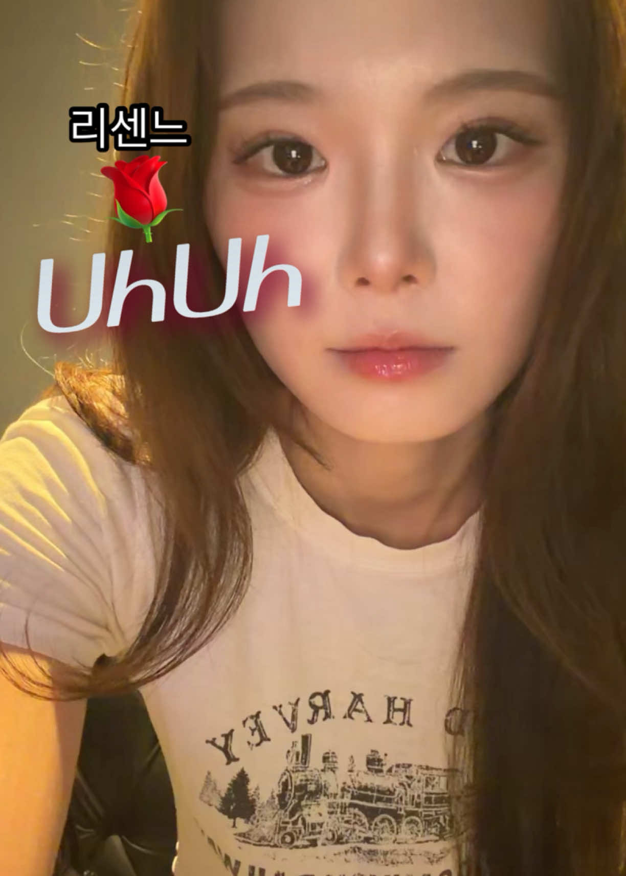 @찐보돌