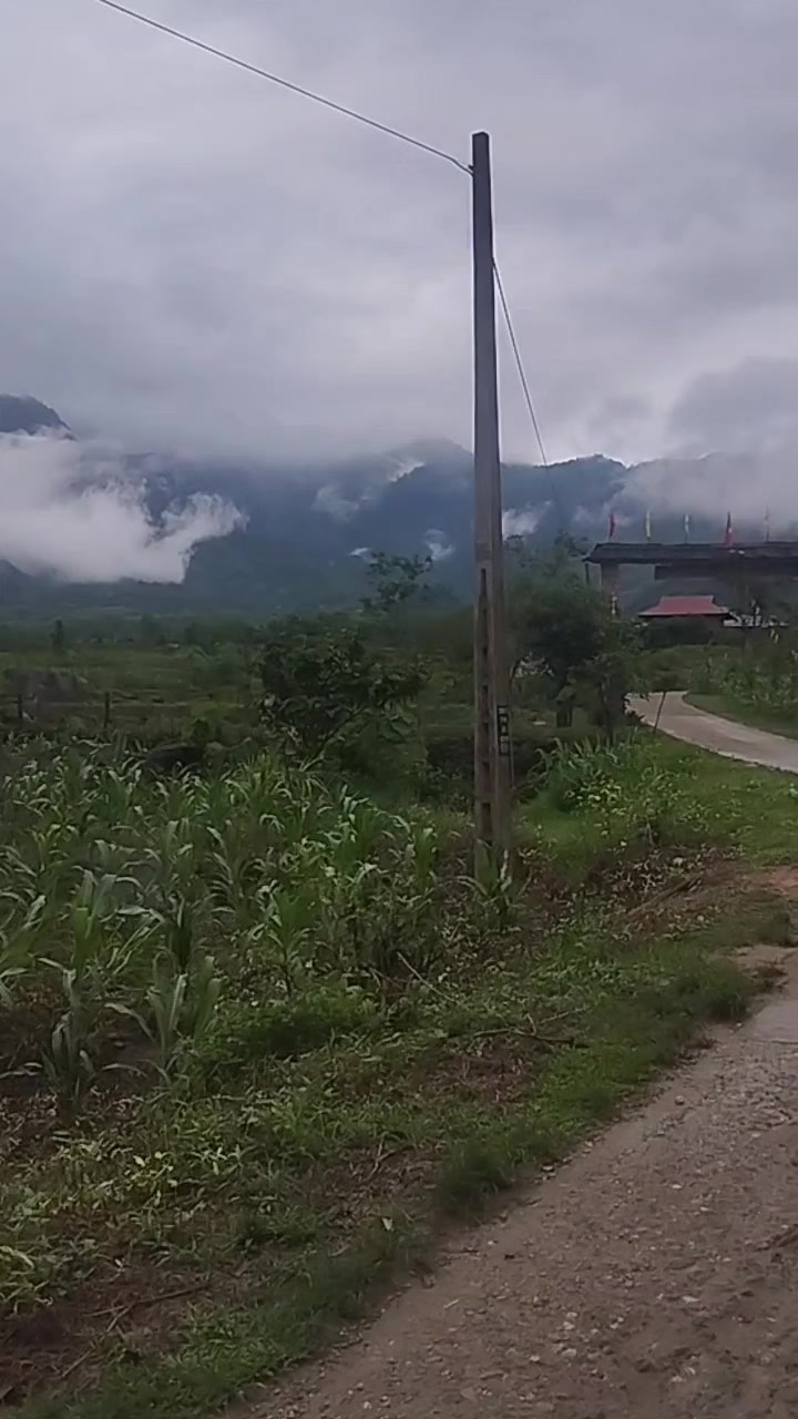 @XuânMai🫶