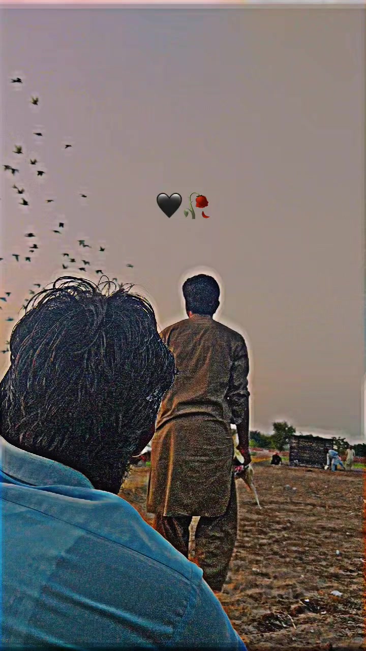 @عدیل رحمن لیہ وال کبوتر باز
