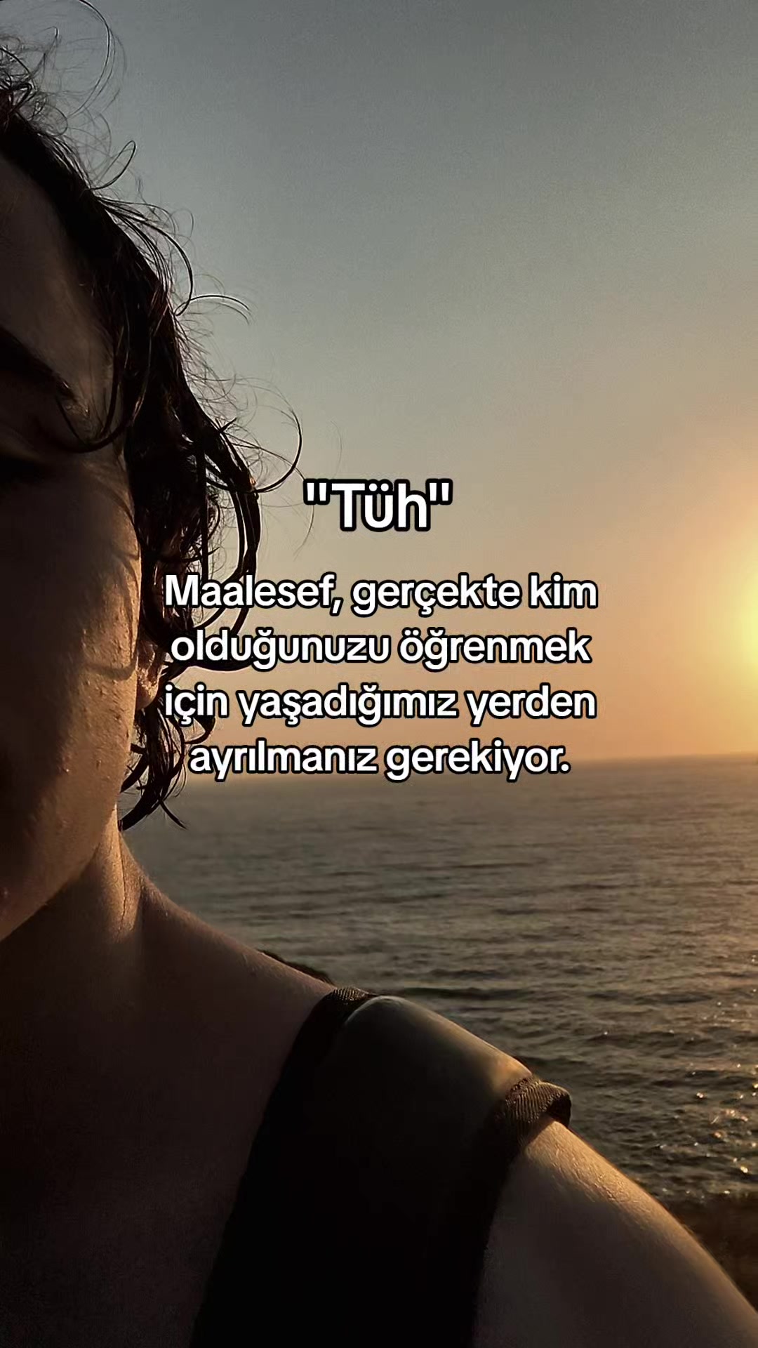@BasharFl0w