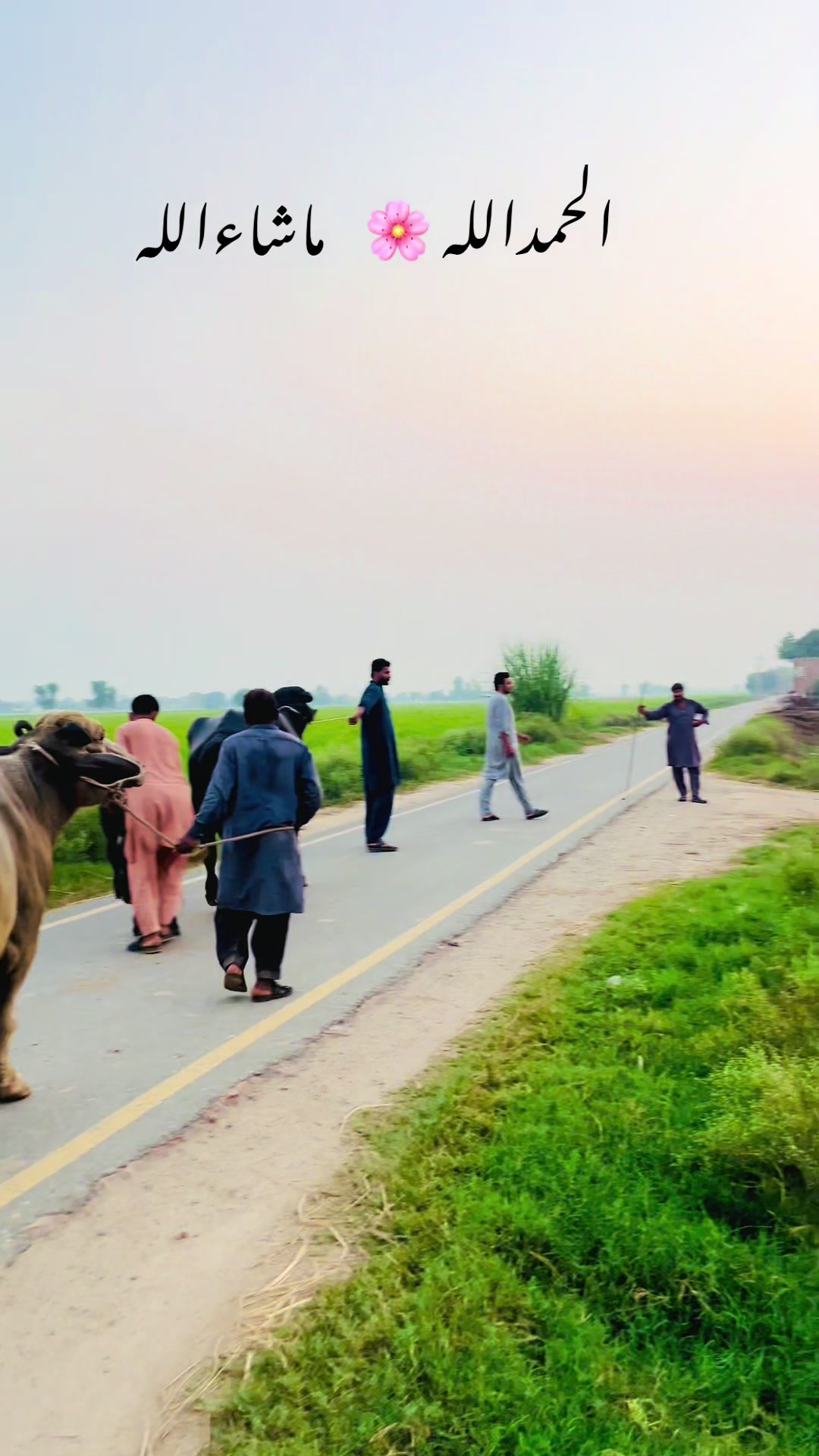 @چوہدری شعیب احمد 🦅