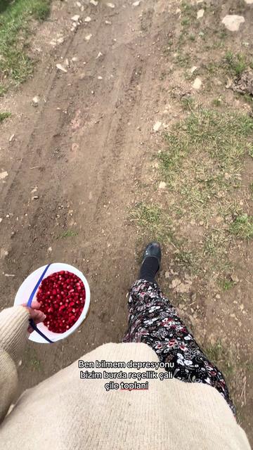 @aysegulldemiray_