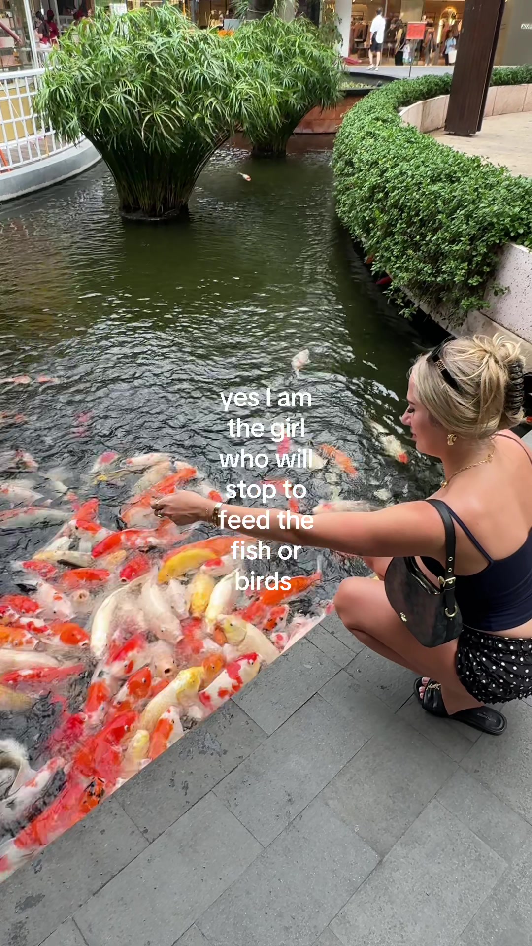 @geo - content creator