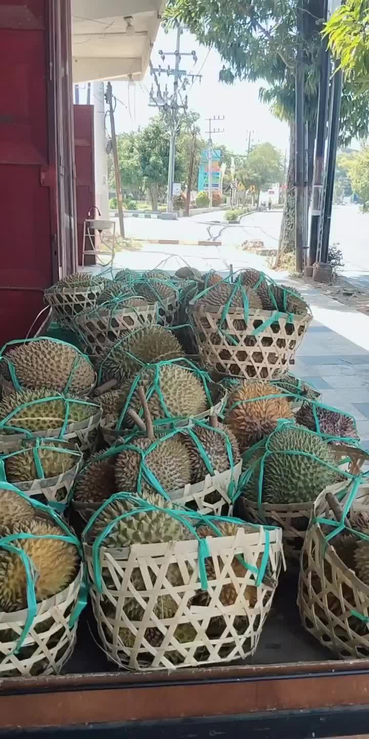 @Kenzhi Durian Tuban