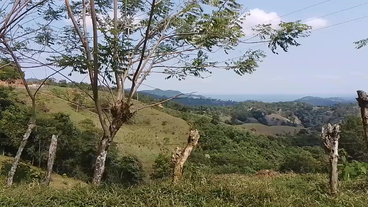 @susan4986