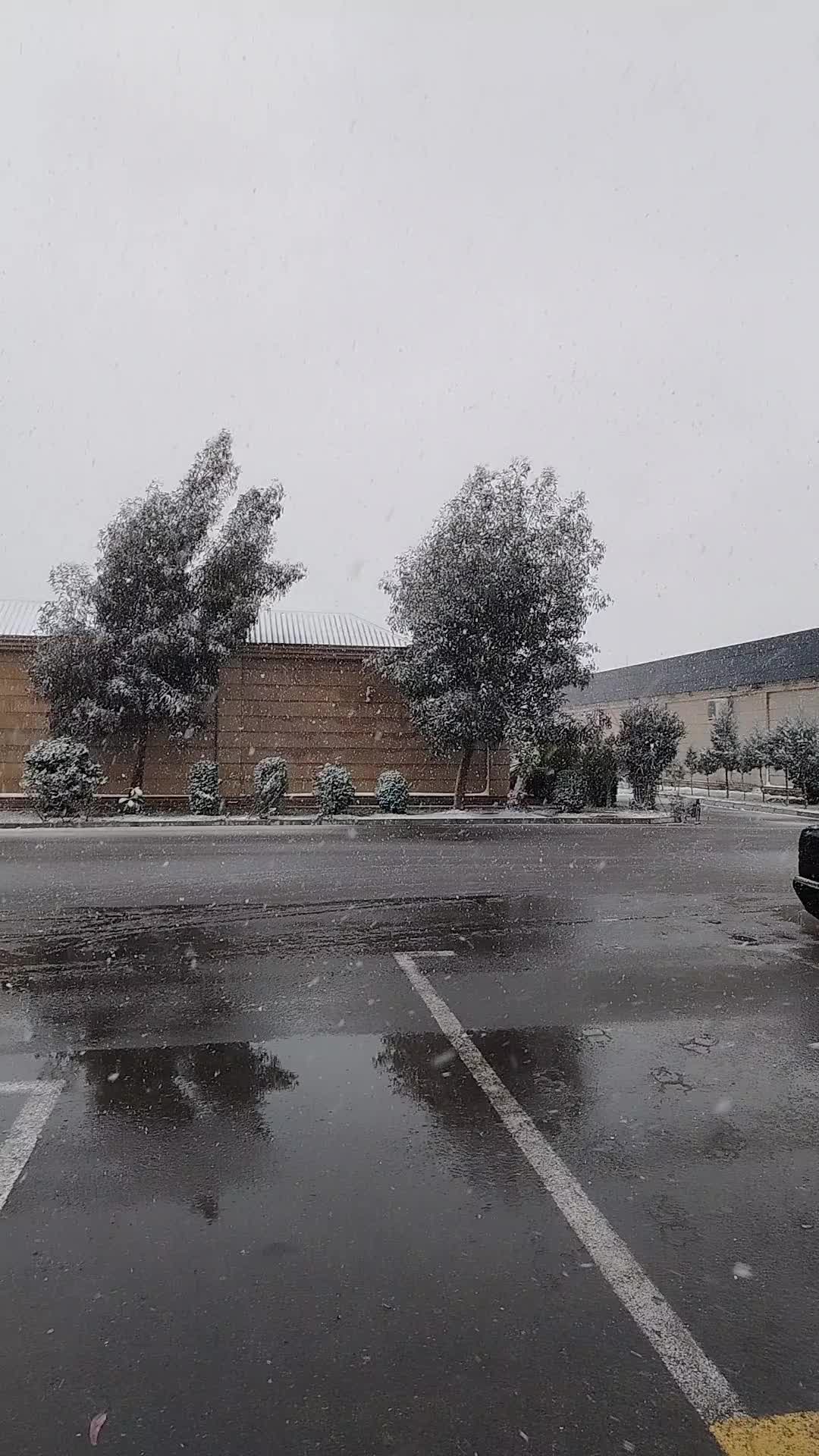 @ilkin._aliyev