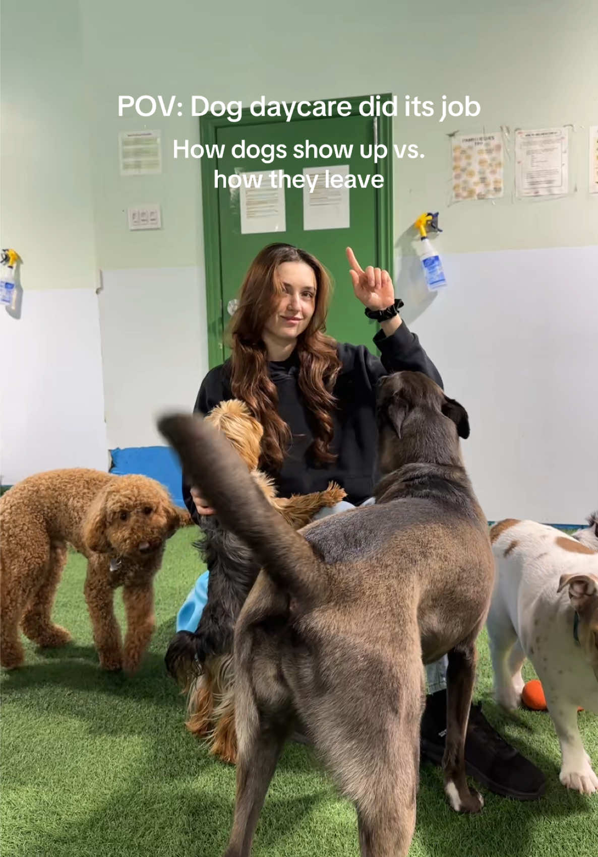 @Camp Canine Toronto