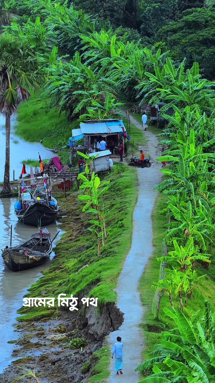 @❤️☘️শেষ পাতা ❤️🩹🍀🥰