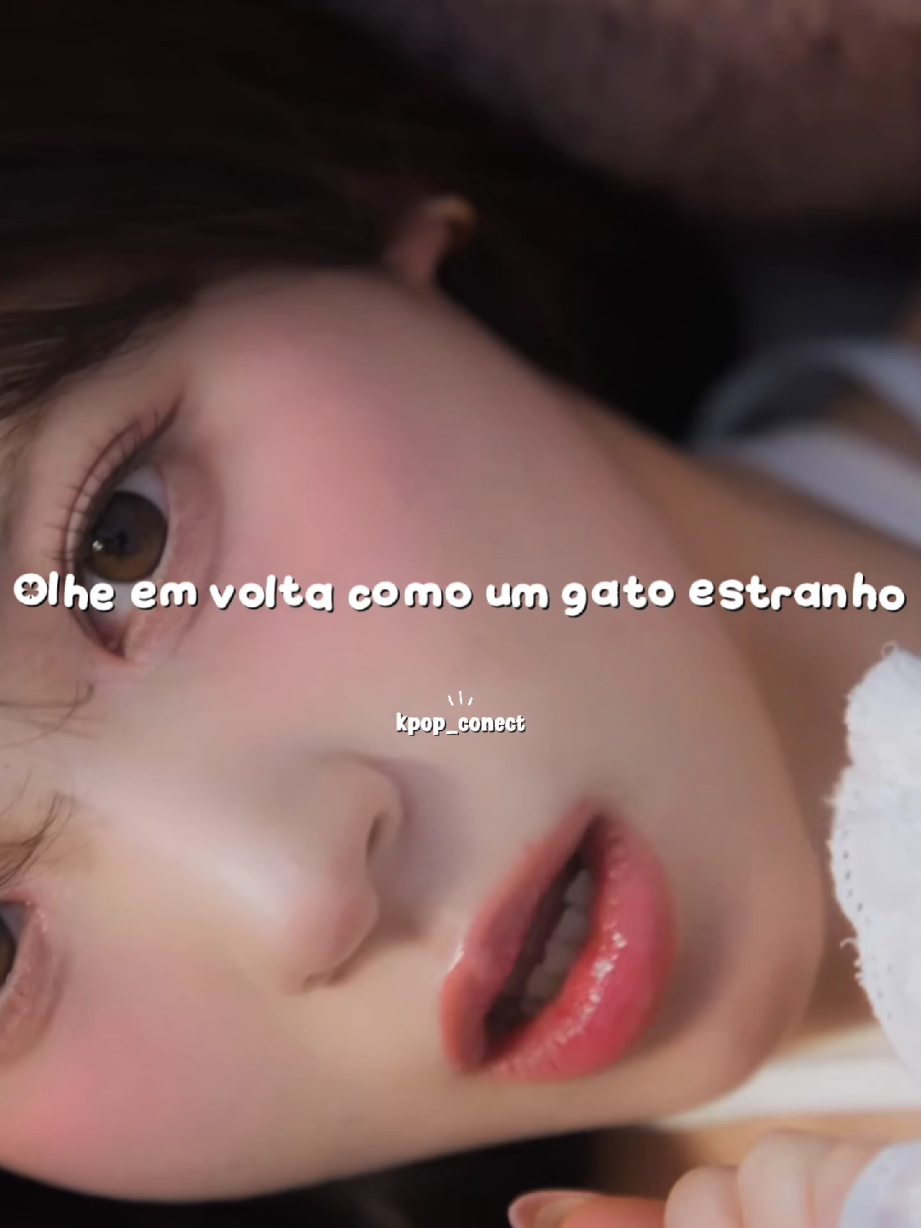 @𑁍ִ Kpop Conect ִ𝆯 𔘓