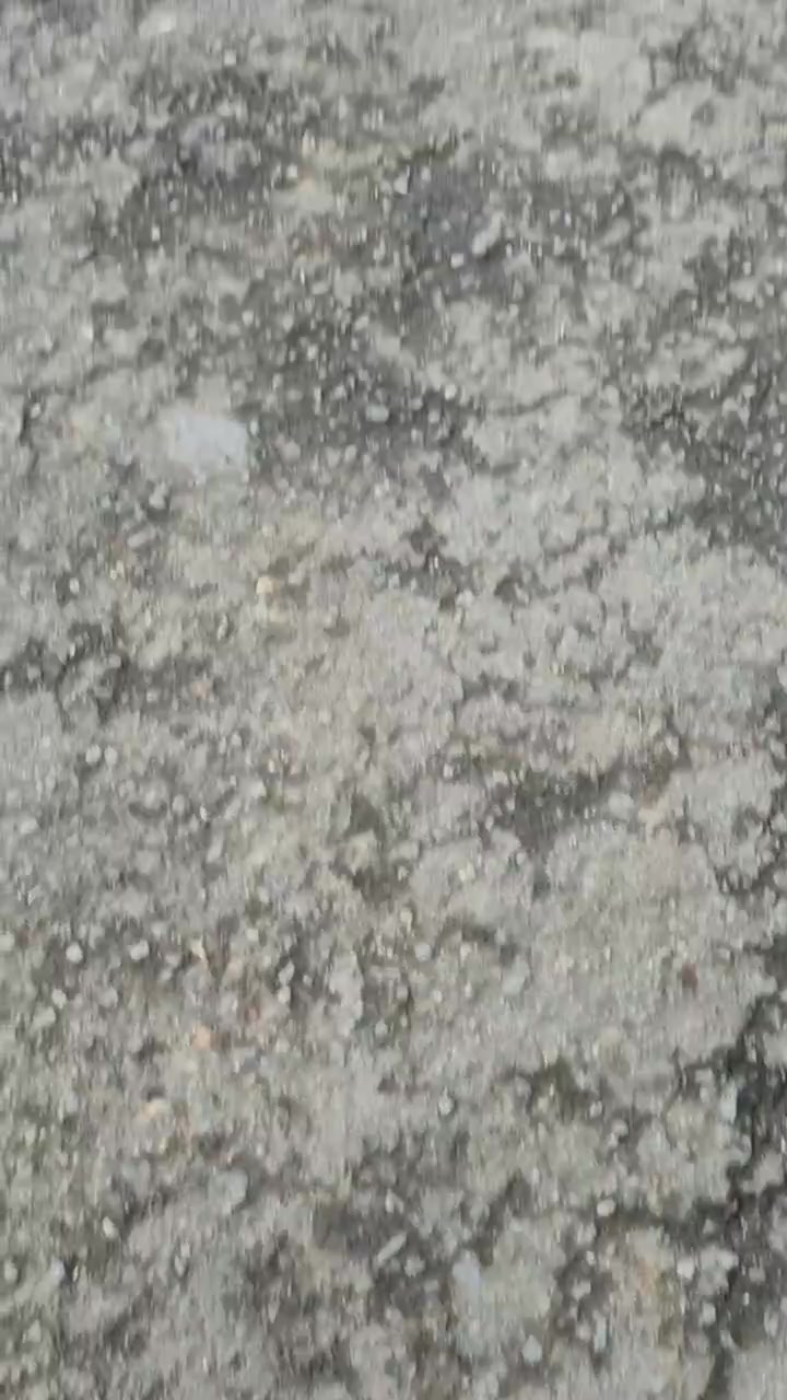 @rejasfaaa