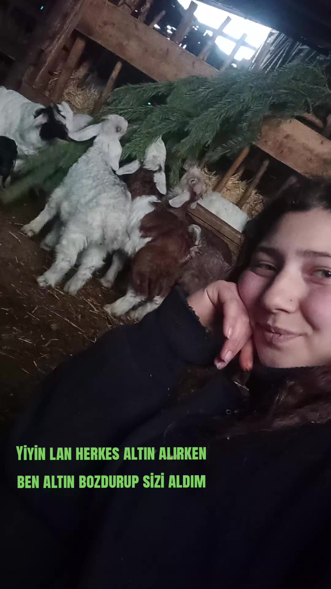 @Elif Çetin