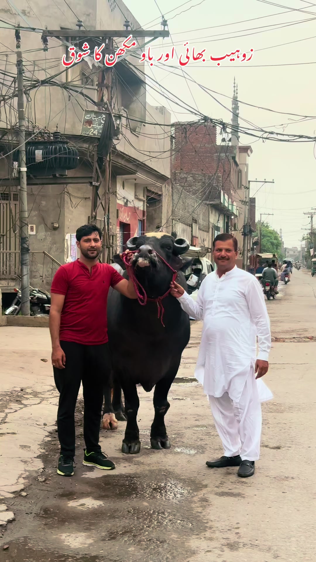 @UMAIR MUGHAL