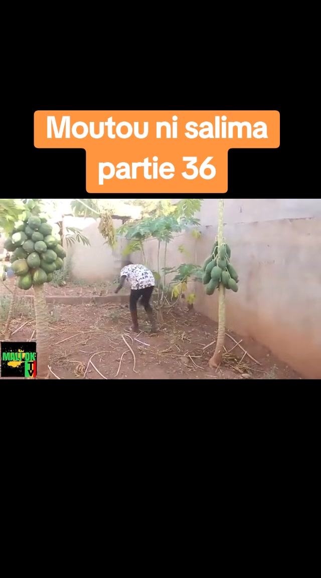 @Marshall🌿Puissant 🇲🇱