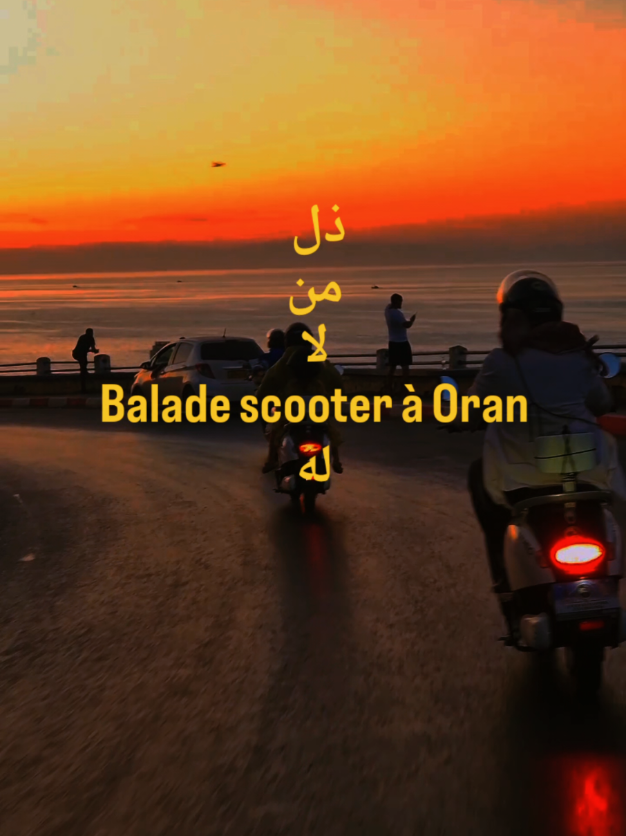 @Oran Tour by DTS