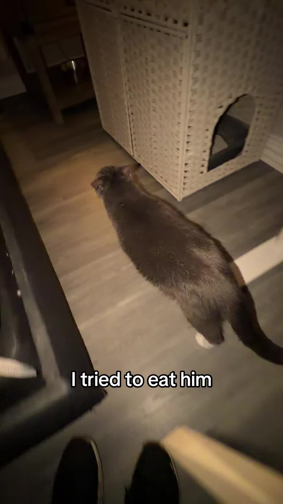 @stinkwalker