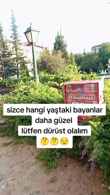 @mizgin