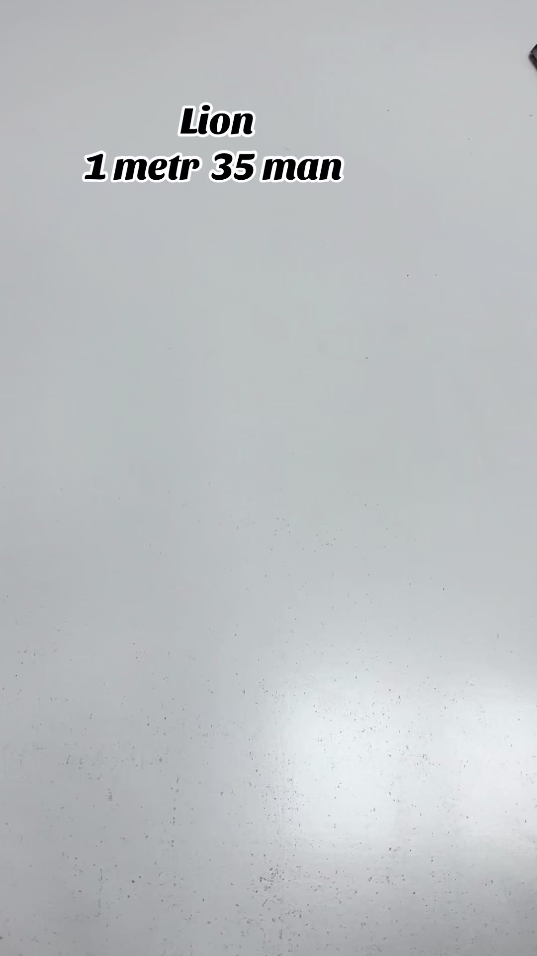 @Melek_matalar