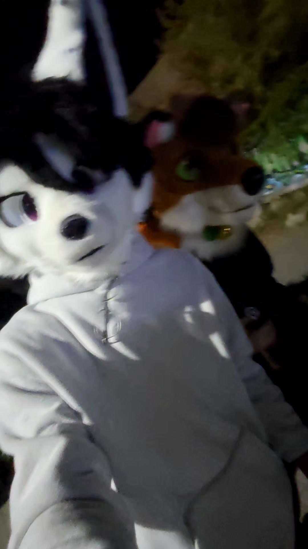 @PHAYCON