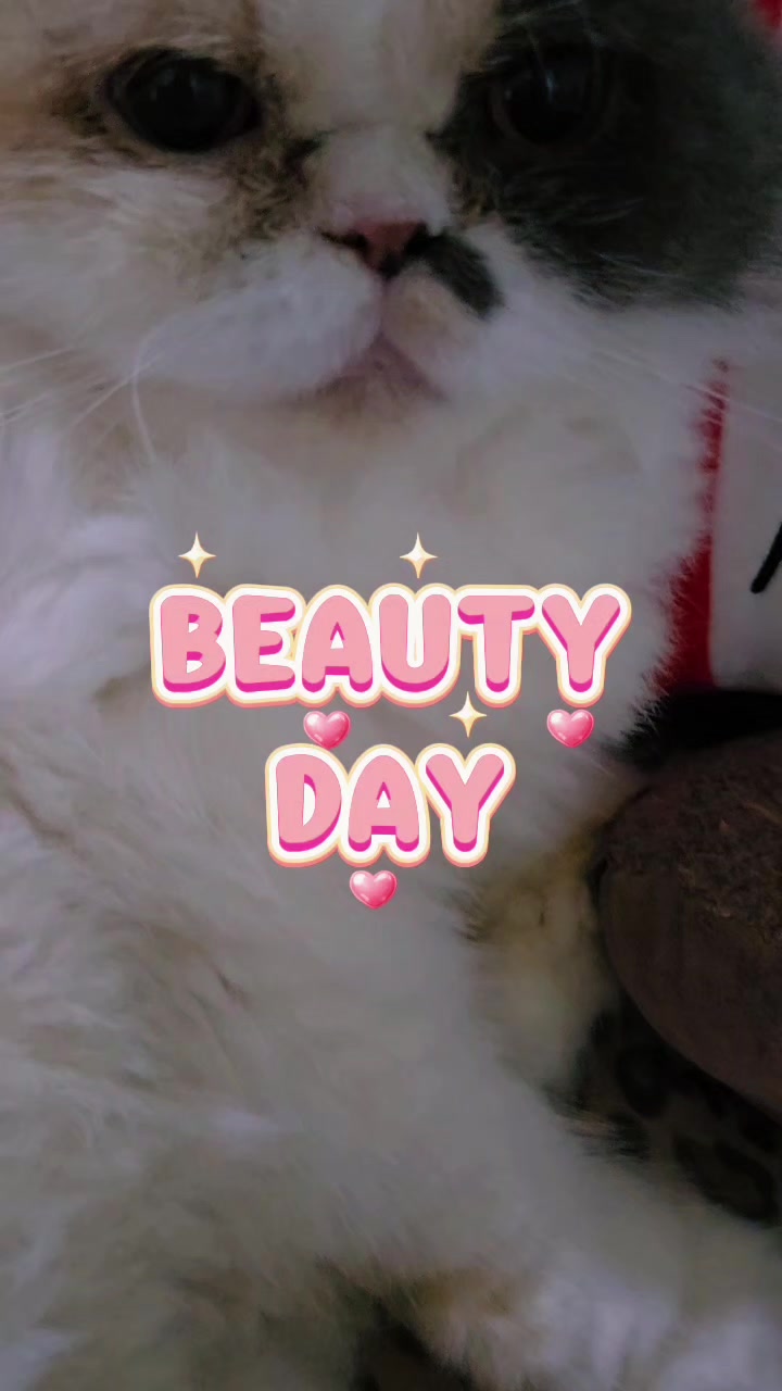 @Chi Marie