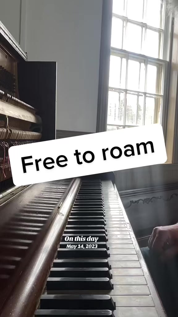 @PEI Sunsets & Old School Piano