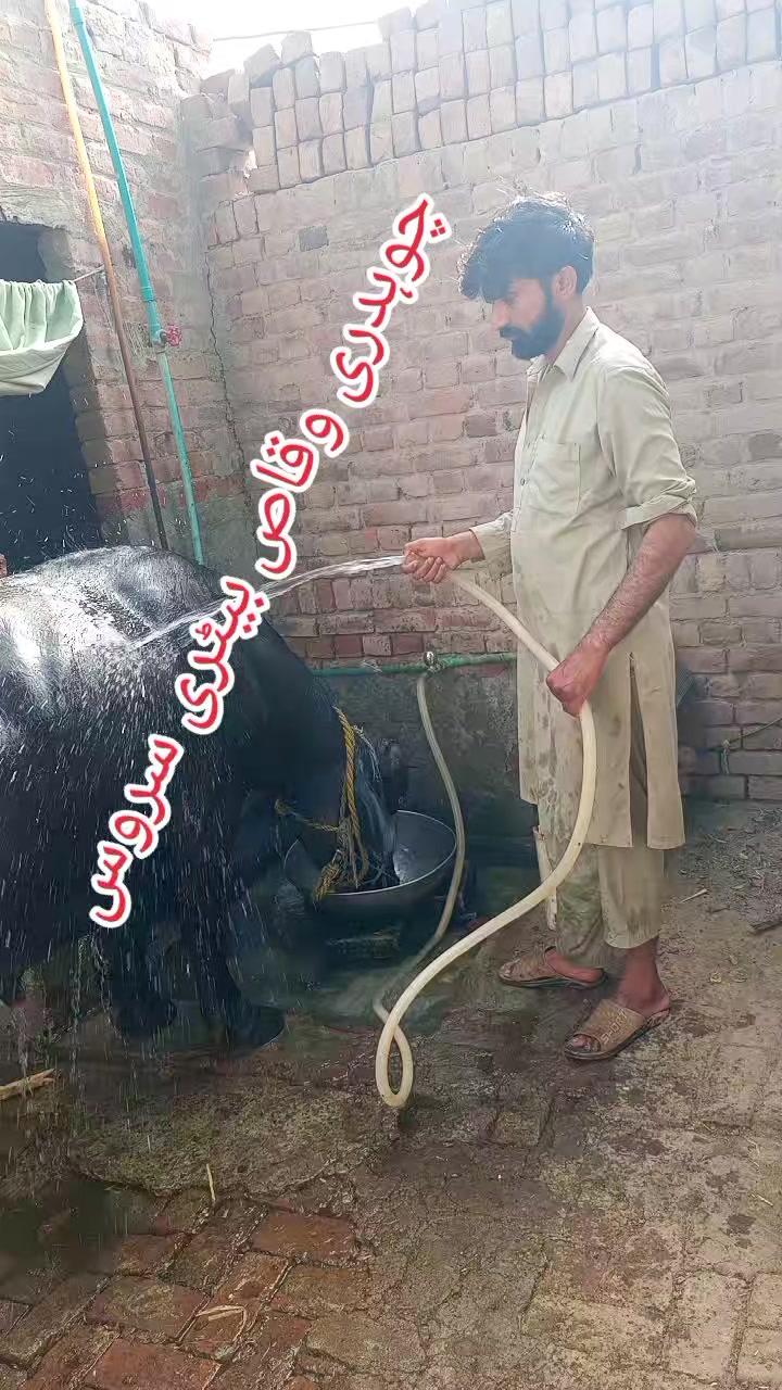 @Ch.waqas